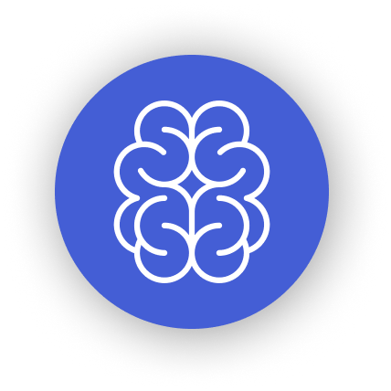 Brain
